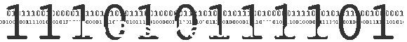 The Bass Kahuna Project